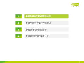 2015年中國電子支付用戶研究報(bào)告 電子支付密碼系統(tǒng)產(chǎn)品趨勢分析